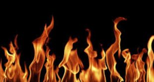 Ratusan Hektar Lahan Perkebunan Sawit Terbakar, Warga Terancam Anjlok Panen