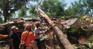 LensaHukum.co.id - 157 Rumah Rusak Dilanda Puting Beliung 2 310x165 - 157 Rumah Rusak Dilanda Puting Beliung