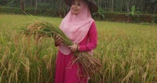 LensaHukum.co.id - Maftahatun Azizah Calon Dewan Humoris 2 310x165 - Maftuhatun Azizah Calon Dewan Humoris