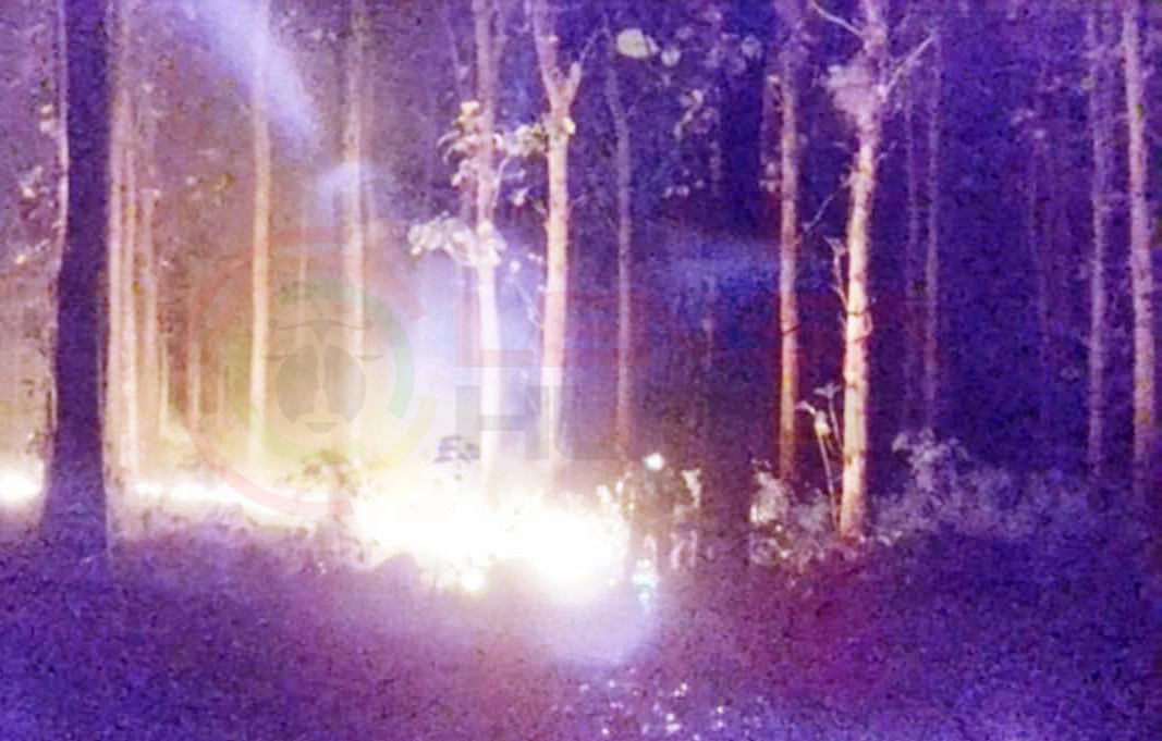 LensaHukum.co.id - IMG 20190722 WA0034 - Akibat Puntung Rokok Sebabkan Kebakaran Hutan Jati