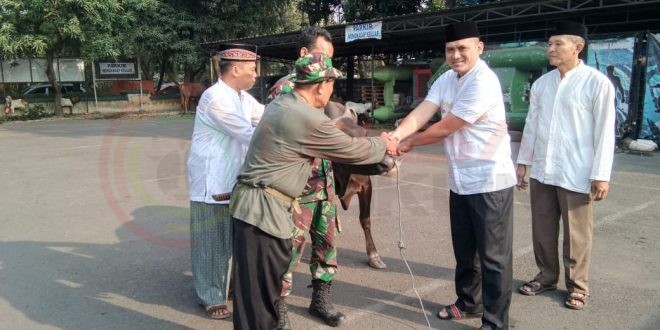LensaHukum.co.id - IMG 20190811 WA0050 660x330 - Dandim 0506 Tangerang Serahkan Hewan Kurban
