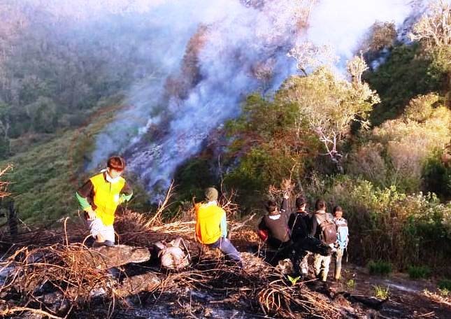 LensaHukum.co.id - IMG 20190918 WA0133 - Kebakaran Hutan Dilereng Gunung Slamet Diperkirakan Mencapai 10 Hektar