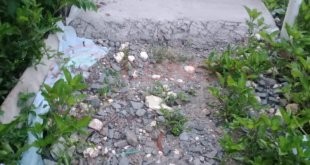 LensaHukum.co.id - IMG 20191217 WA0043 310x165 - Pekerjaan Jaling Di Kampung Pulo Pisang Diduga Mangkrak Disinyalir Kuat Pengawas Dan Konsultan Tutup Mata