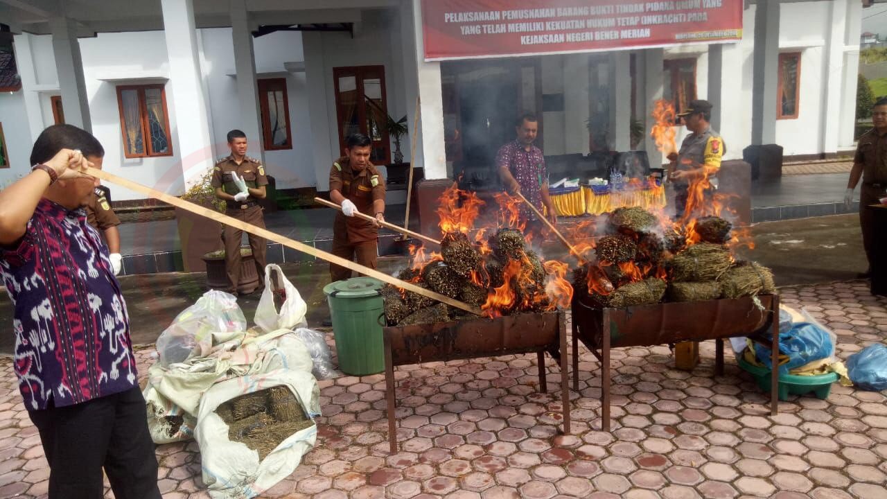 LensaHukum.co.id - IMG 20191226 WA0025 - Ratusan Kilo Ganja Kering Dimusnakan Di Kejaksaan Negeri Kabupaten Bener Meriah