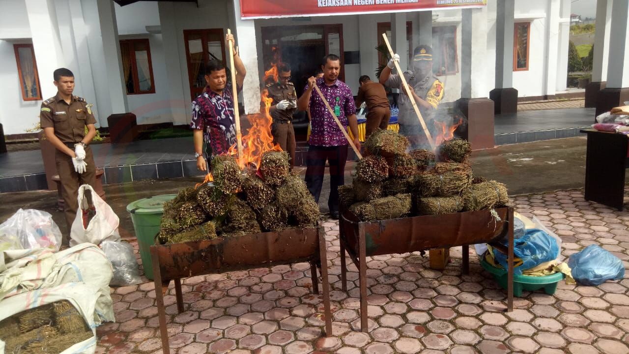 LensaHukum.co.id - IMG 20191226 WA0026 - Ratusan Kilo Ganja Kering Dimusnakan Di Kejaksaan Negeri Kabupaten Bener Meriah
