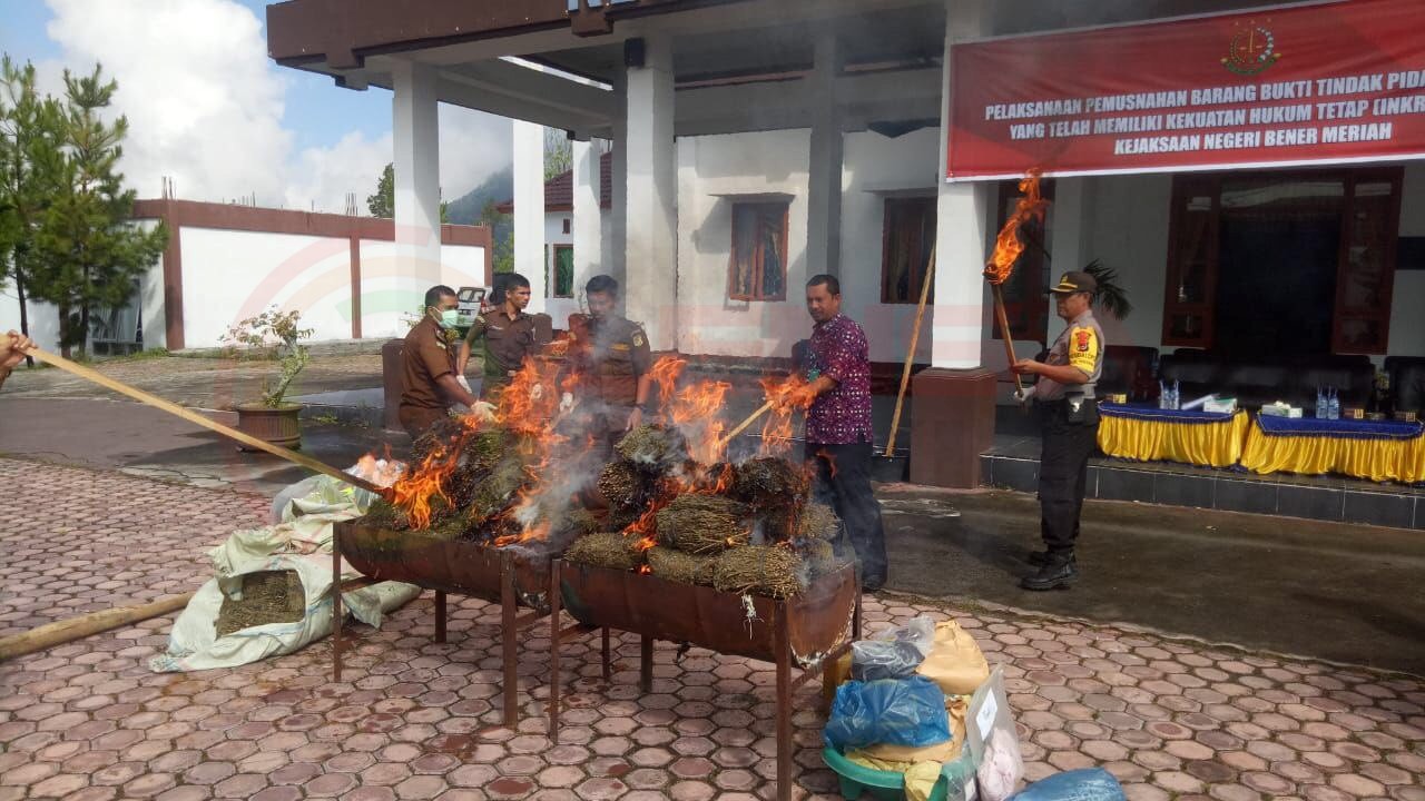 LensaHukum.co.id - IMG 20191226 WA0027 - Ratusan Kilo Ganja Kering Dimusnakan Di Kejaksaan Negeri Kabupaten Bener Meriah
