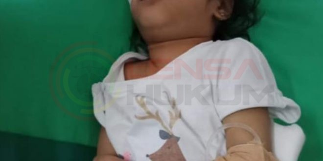 LensaHukum.co.id - Screenshot 20200622 001718 Gallery 660x330 - Balita Alifa Terkena Hidrosefalus Sejak Kecil diTinggal ibunya Butuh Perhatian Pemerintah