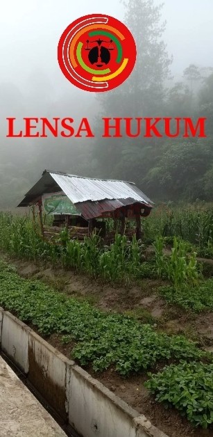 LensaHukum.co.id - Screenshot 20201010 083931 KineMaster - Petani di Tapanuli Utara Keluhkan Harga Turun Sedangkan Pupuk Merangkak Naik " Dinas Pertanian Tutup Mata "