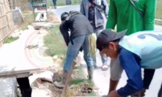 LensaHukum.co.id - Screenshot 20201119 235516 KineMaster 550x330 - Ketua Investigasi Dpn LSM Kampak-RI Geram " Pekerjaan Normalisasi Saluran Hanya Membersihkan Rumput "