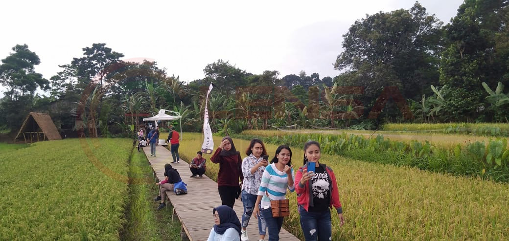 LensaHukum.co.id - IMG 20210131 WA0114 - Pengunjung Wisata Visit Mulyaharja Kota bogor Abaikan Protokol Covid -19 di Area Wisata Persawahan