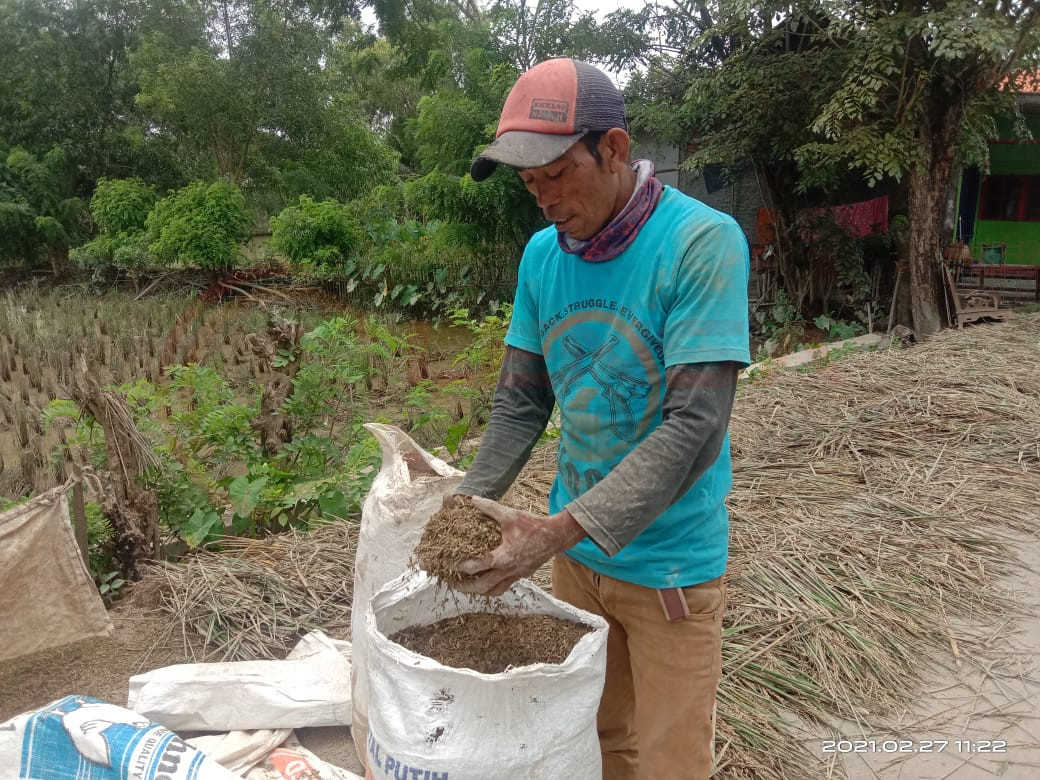 LensaHukum.co.id - IMG 20210228 WA0004 - Akibat di Terjang Banjir Ratusan Hektar Lahan Pertanian Di kabupaten Bekasi Hancur Gagal Panen