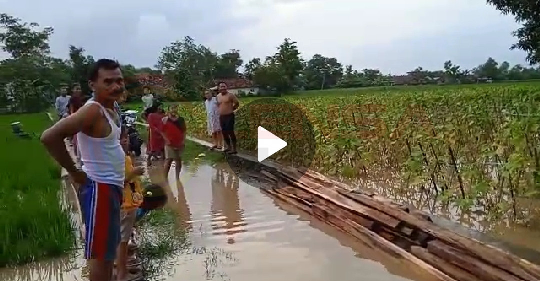 LensaHukum.co.id - Screenshot 20210208 100441 WhatsApp - Puluhan Rumah di Tirtamulya Kabupaten Karawang Terendam Banjir, Jembatan Lintas Desa Tirtamulya ikut Terendam