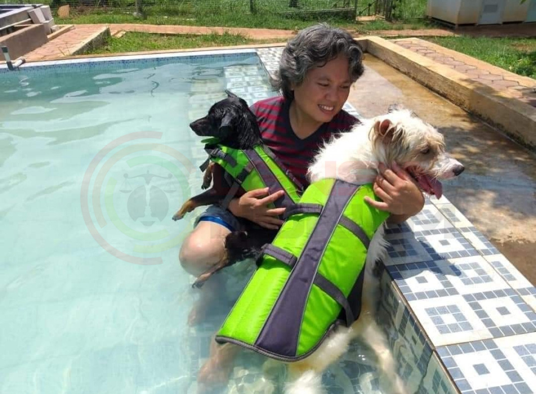 LensaHukum.co.id - Screenshot 20210211 225431 WhatsApp - Pecinta Anjing Kecewa Hasil Keputusan Sidang Penembakan Anjing Yang Di Lakukan Rt. Sugiono
