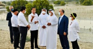 Putra Mahkota Abu Dhabi Bersama Presiden Joko Widodo Menanam Pohon Mangrove