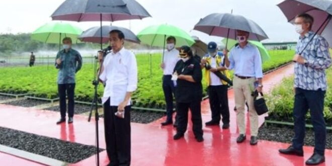 LensaHukum.co.id - Screenshot 20211120 111524 Samsung Internet 660x330 - Putra Mahkota Abu Dhabi Bersama Presiden Joko Widodo Menanam Pohon Mangrove