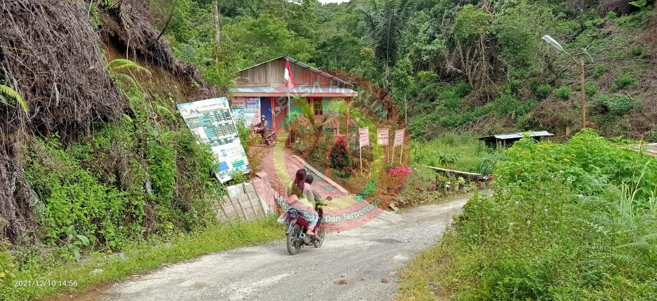 LensaHukum.co.id - IMG 20211210 WA0070 - Pengaspalan Jalan Desa Siandorandor Kabupaten Tapanuli Utara, Belum Lama Sudah Rusak